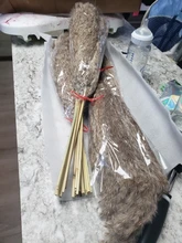 Dried-Plants Pampas-Grass Wedding-Flower Bunch Raw-Color Natural Phragmites 20pcs Communis