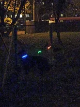 Neck-Belt Pet-Collar Led-Light Flashing Glowing Leopard Night-Safety Nylon Adjustable