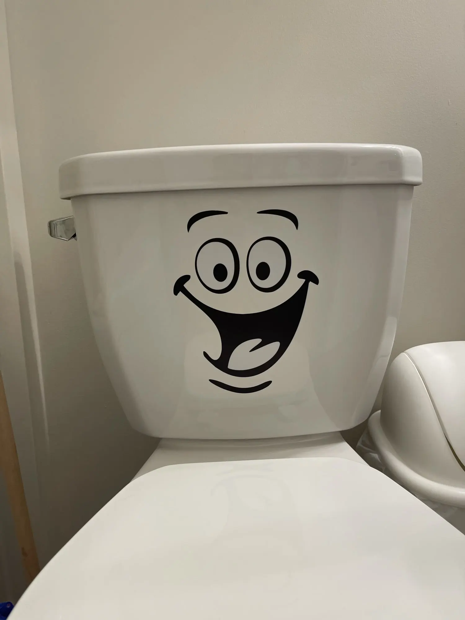 прикольные крышки для унитаза. смайлик на унитазе. туалетный рот. туалетный рот. прикольные унитазы и писсуары.