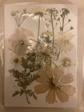 Pegatinas de flores naturales de resina UV para decoración de joyas, adhesivos de belleza seca para Resina epoxi DIY, 1 paquete