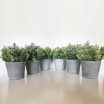 

Pack 6 artificial assorted plants 18 cm with pot in gray color
