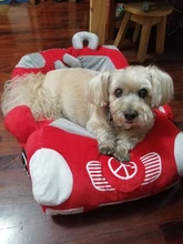 Bed-House Kennel Puppy Sofa Small Dog Warm Chihuahua Waterproof Soft 2-Colors Pet-Dog