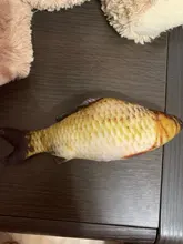 Pet Soft Plush Creative 3D Carp Fish Shape Cat Toy Gifts Catnip Fish Stuffed Pillow Doll
