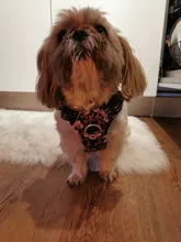 Truelove-arnés Floral sin tirones para mascotas, tela de algodón transpirable y reflectante, suave, para gatos y perros pequeños y medianos, para caminar y correr, TLH5655