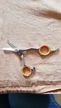 Hair-Cutting-Tools Pet-Hair-Scissor Pets-Grooming-Supplies Rounded-Tips Dog Safety Professional