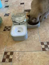 Alimentador automático de mascotas, para perros y gatos, depósito de comida de 2.2L y de agua de 528ml, suministro lento de comida