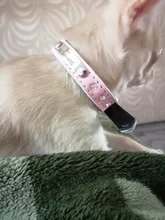 Dog-Collar Dogs Pink Customized Engraved Yorkies Chihuahua for Small