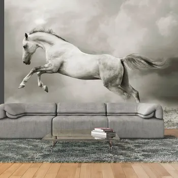 

Wall mural-stud wild-300x231 cm