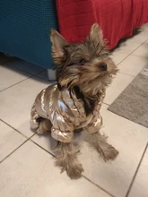 Ropa de abrigo para Perros Bulldog Francés, Ropa de cachorro, Chihuahua, yorkie, abrigo de perrito mascota, chaqueta, perros, mascotas