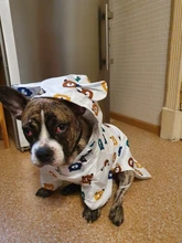Clothing Bulldog-Clothes Corgi Raincoat Poodle Pug Bichon French Waterproof for Schnauzer