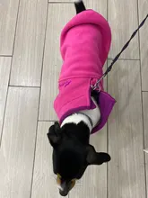 Coat-Jackets Fleece Vest Pug-Costumes Dogs French-Bulldog Chihuahua Winter Small Medium