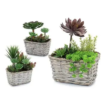 

Planter Ibergarden Plastic (14 x 26 x 19 cm)