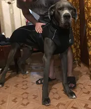 Jackets Dog-Coats Outdoor Winter Pet-Dog Dogs Large Medium for Warm Clothing Kurtka Ubranka