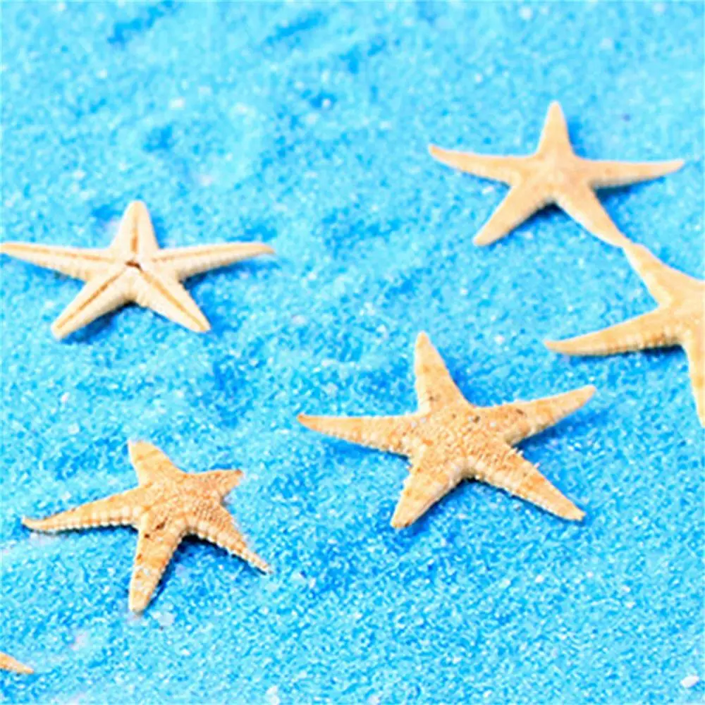 100pcs Mini Cute Small Mini Starfish Sea Star Shell Beach Home Decor DIY Craft