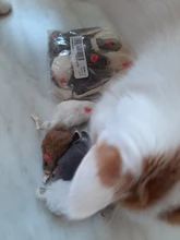 False-Mouse Simulation-Mice Noise-Playing-Toys Rabbit-Fur Kitten For Cats Pet-Supplies