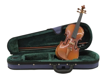 

DIMAVERY Violin 1/4 with bow in case
