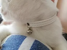 Collar de piel sintética para mascotas, Collar ajustable con cascabel para gatos, rojo, azul, marrón, rosa, talla XS S M