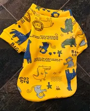 Estampado de conejo disfraz mascota gato para gatos de Kedi Katten Sudadera con capucha Primavera Verano gato traje de ropa de mascotas ropa para gato