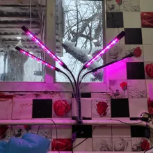 LED Grow Light USB Phyto Lamp Full Spectrum Grow Tent Complete Kit Phytolamp for Plants