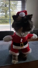 Christmas Cat Clothes Halloween Clothes For Cats Costume New Year Outfit Pet Cat Clothes