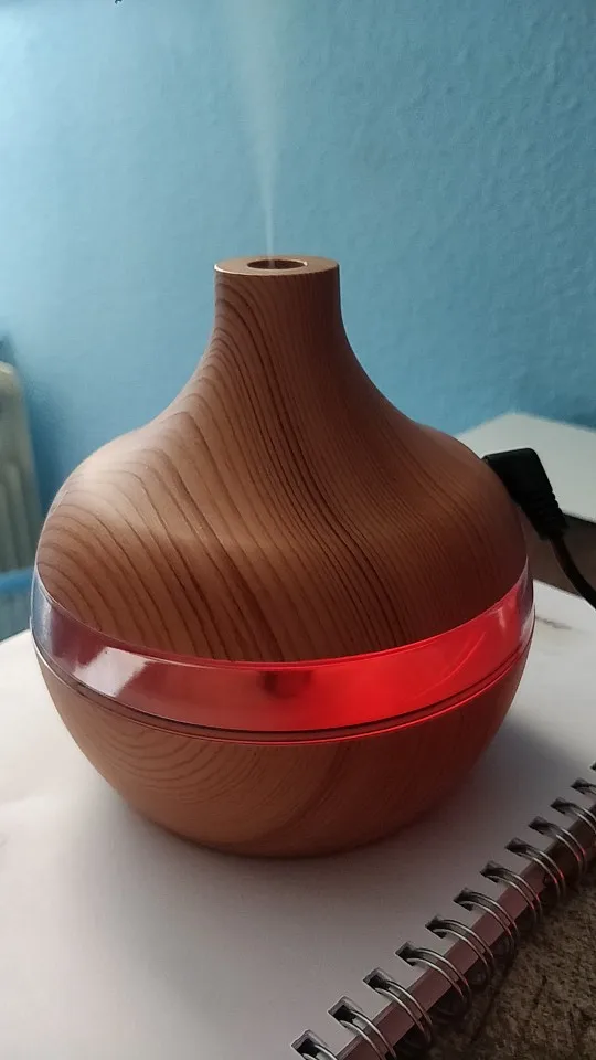 LED Electric Essential Humidifier photo review
