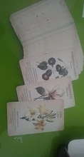 Playing-Cards Games Oracle Deck Botanical Inspiration Funny Party Family English-Board