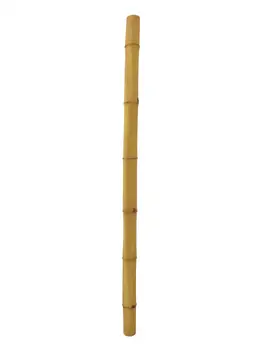 

EUROPALMS Bamboo tube, Ã˜ = 8cm, 200cm