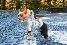 Jumpsuit Pet-Costumes Cotton-Padded Silver-Color Dogs Waterproof Winter Fashion for Hoodie