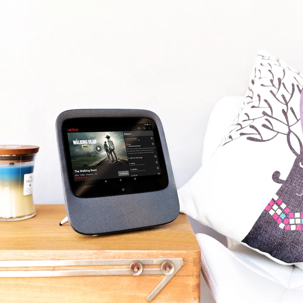 google home internet radio