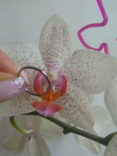 Anillo de titanio y acero fino para hombre y mujer, anillo de dedo de color dorado, rosa, moda Simple, Color plateado, 1MM