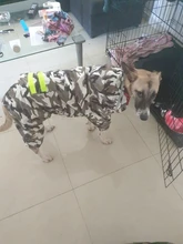 Jumpsuit Jacket Pet-Cloak Rain-Coat Labrador HOOPET Golden Retriever Waterproof Dogs