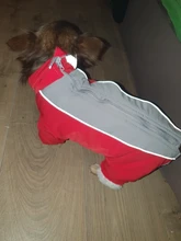 Winter Overalls for Dogs Warm Waterproof Pet Jumpsuit Trousers Male/ Female Dog Reflective