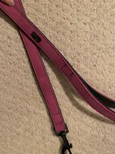 Lead Leash-Harness Training-Rope-Belt Pet-Supplies Dog Small Walking Running Medium Puppy