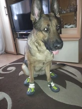 Shoes Reflector Dog-Boots Dogs-Paws Truelove Small Outdoor Large Footwear Pet-Dog Pu