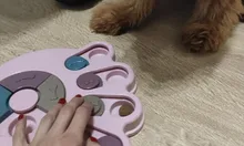 Feeder Toys Dispensing Puppy Pet-Puzzle Pet-Dog Training-Games Slow Interactive Small