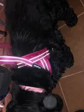 No-¡perro arnés reflectante ajustable de franela acolchada pequeño, mediano y grande arnés tipo chaleco para perro fácil para caminar de formación