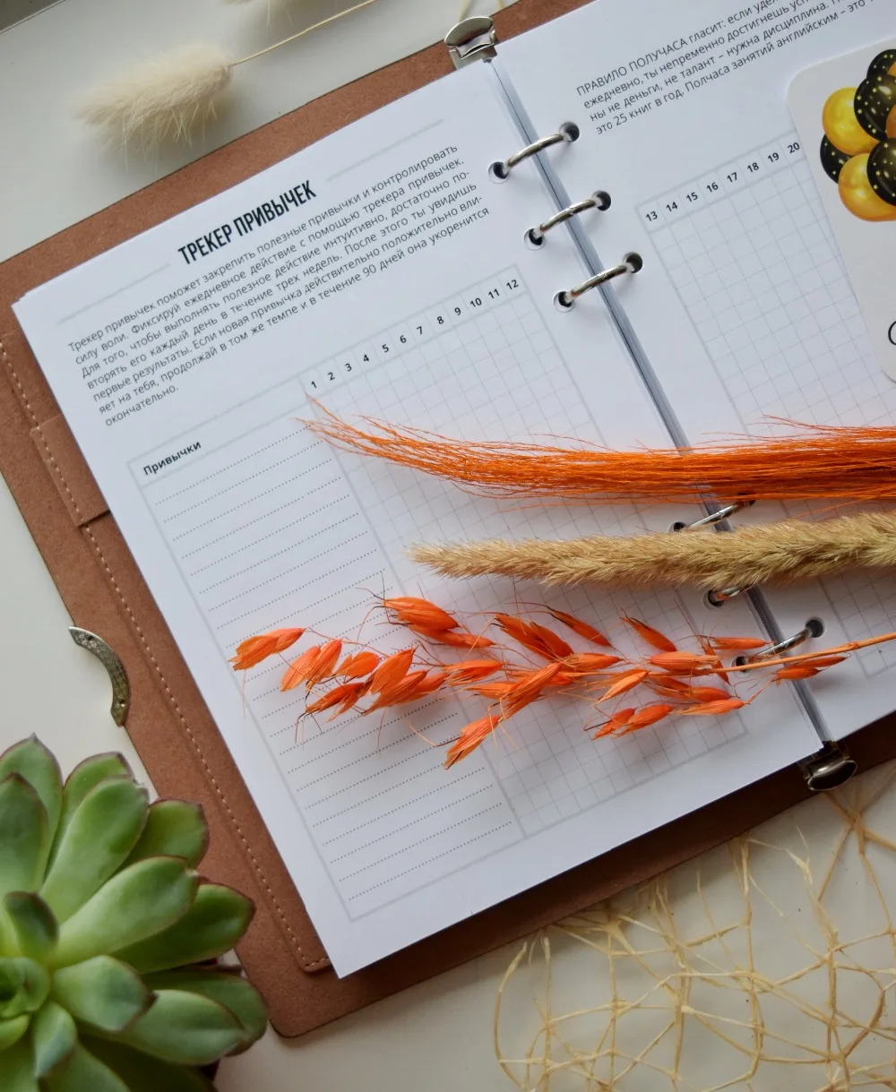 трекер привычек 2