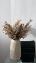 Pampas-Grass Reed Flower Wedding-Decoration Bunch Light-Color Natural Dried Christmas