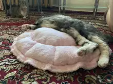 Litter-Mat Blanket Pet-Bed Calming Pink Small Cat Cushion Dogs Dog-Poodle Plush for Manta