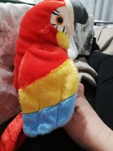Peluche de loro parlante eléctrico para niños, juguete de peluche de pájaro parlante con alas que se repiten, regalo para niños