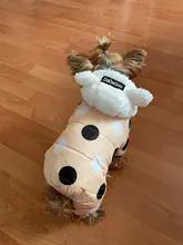 Dog Overalls Clothing Puppy Winter Coat Hoodie Pet-Dog Cotton Thicken Dot for Small Big-Polka-Dot