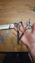 Brainbow-Tijeras para peluquería y estilismo, de 6 pulgadas, elaboradas en acero inoxidable, tijera plana regular y tijera de entresacar