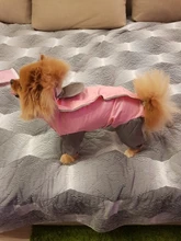 Mono impermeable para perro mascota, ropa impermeable para exteriores, mono con capucha para perros pequeños y grandes, capa impermeable, Bulldog francés