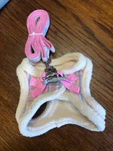 Vest Leash-Set Puppy-Harness Dog No-Pull French-Bulldog Pet-Chihuahua Small Padded Adjustable