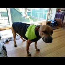 Chaleco impermeable para perros grandes y pequeños, abrigo cálido de invierno para cachorros, ropa para mascotas, 4XL, 5XL, nuevo