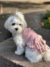 Warm Pet Dog Dress Vest Jacket For Dogs Cats Winter Chihuahua Yorkies Clothes Maltese