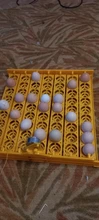 Incubation-Equipment Poultry-Incubator Turn-Tray Chickens-Ducks Automatically-Turn-Eggs