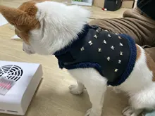 Vest Dog-Harness Dogs-Clothes Yorkshire Padded Puppy Chihuahua Warm Cool for Small Cats