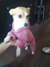 Coat Jumpsuit Clothing Puppy-Fleece Hoodie Apparel Pet-Dog Winter New Warm Velvet