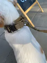 Leash Dog-Collar German Shepherd Dogs Training Adjustable Military Hunting Tactical Large